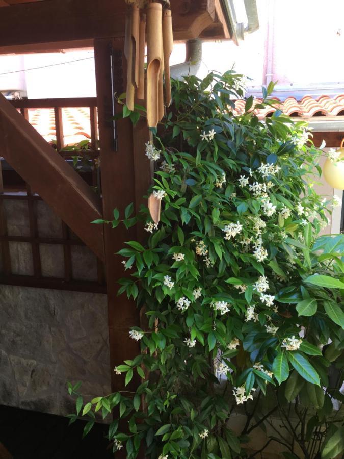 Apartment Garden Malinska Luaran gambar