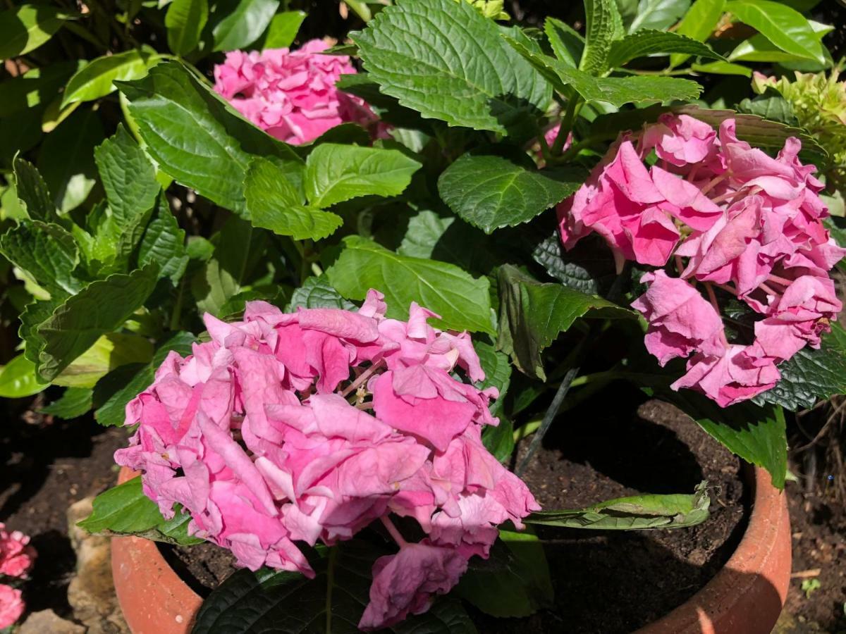 Apartment Garden Malinska Luaran gambar
